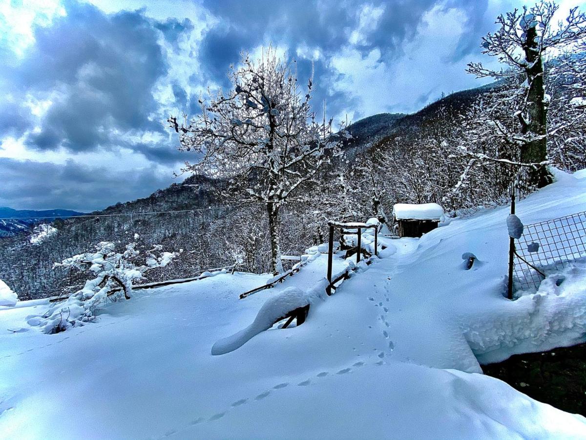 B&B La Presa Molino del Pallone Dış mekan fotoğraf