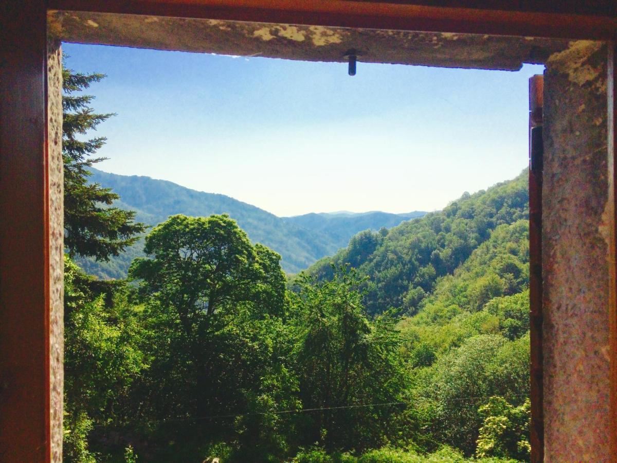 B&B La Presa Molino del Pallone Dış mekan fotoğraf