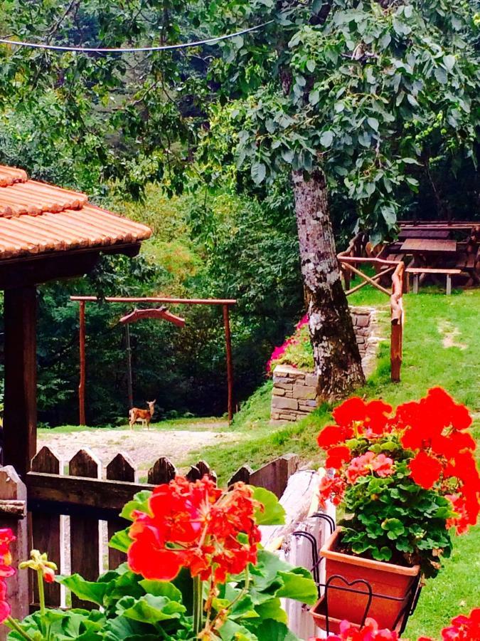 B&B La Presa Molino del Pallone Dış mekan fotoğraf