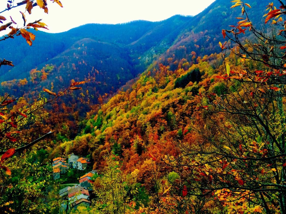 B&B La Presa Molino del Pallone Dış mekan fotoğraf